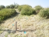 Target area